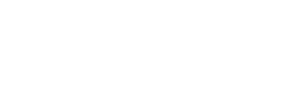 BEX Asia logo on white